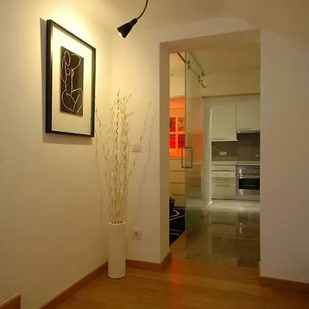 Apartament Enjoyment T1 Centro De *